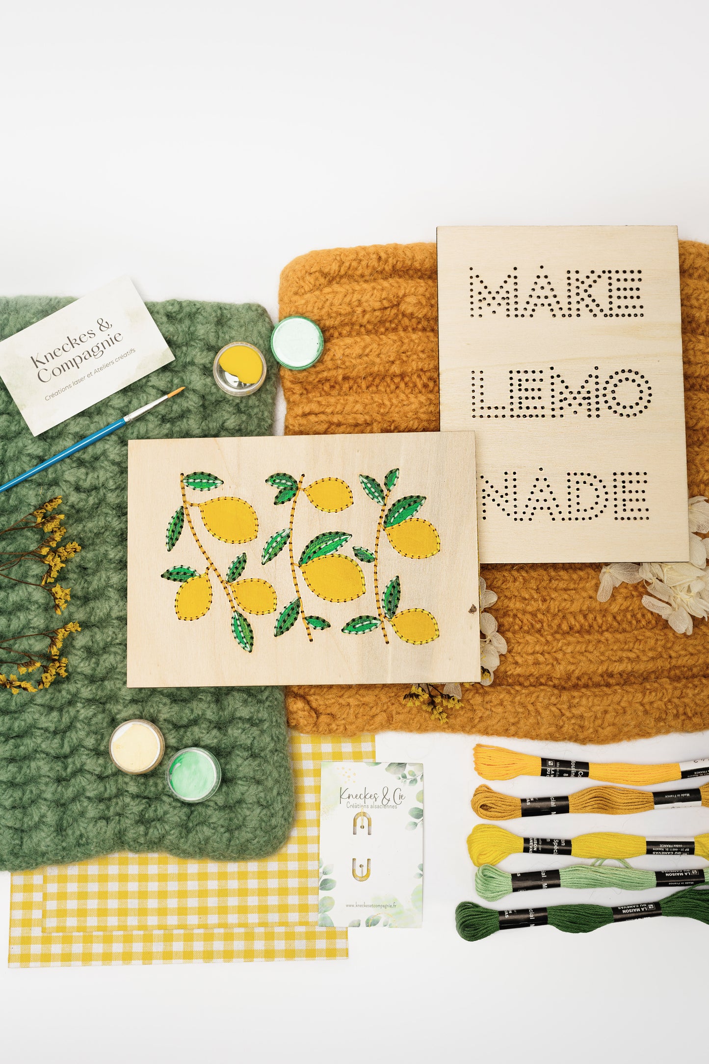 Kit de broderie & de peinture citrons