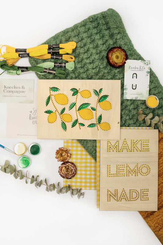 Kit de broderie & de peinture citrons